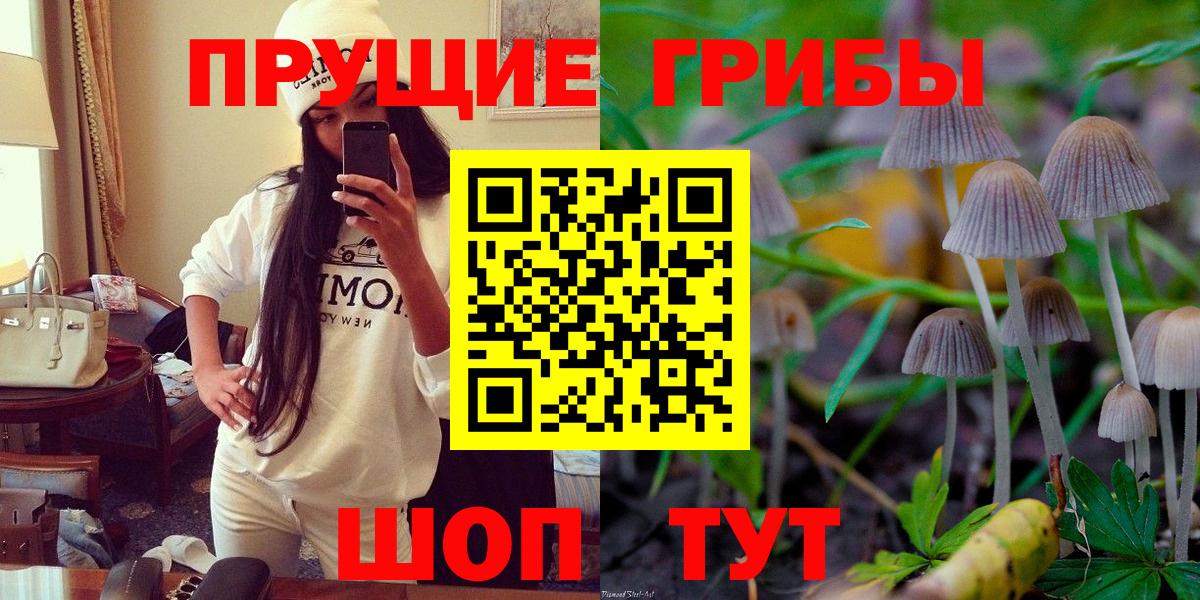 Псилоцибиновые грибы прущие грибы Зеленодольск